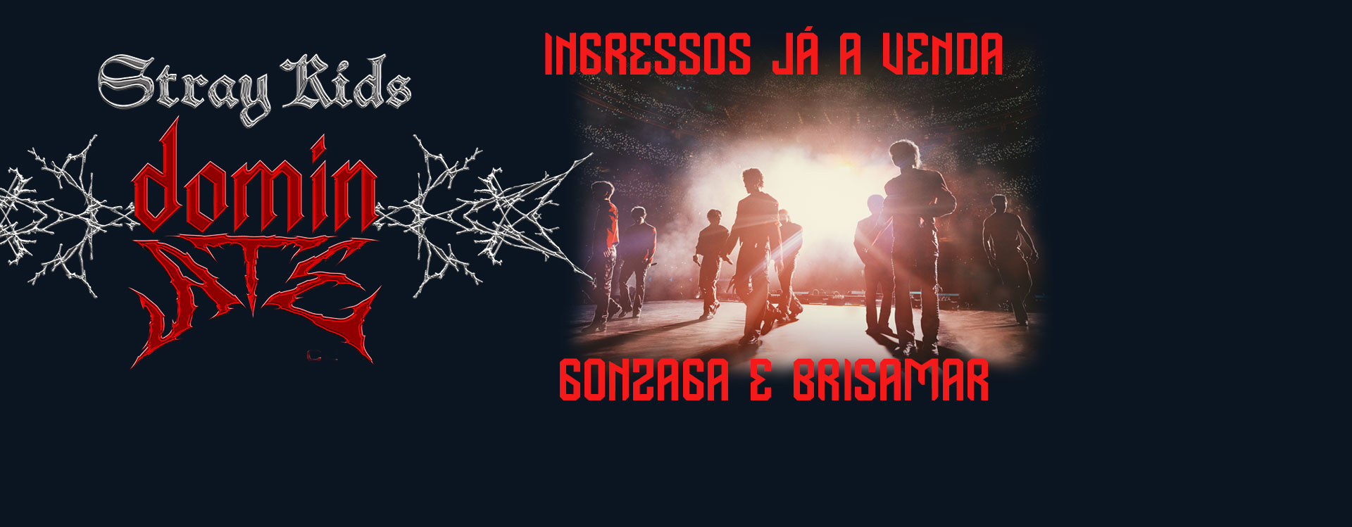 STRAY KIDS: THE DOMINATE EXPERIENCE