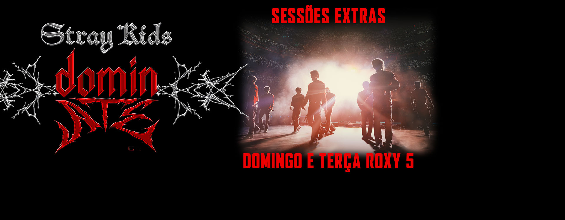 STRAY KIDS: THE DOMINATE EXPERIENCE